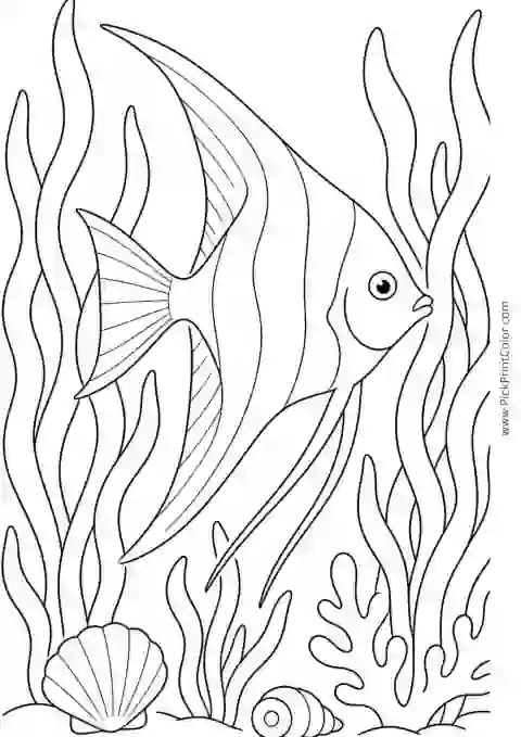 Angelfish Swimming through Tall Seaweed printable black-and-white coloring page