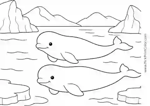 Beluga Pair in a Calm Arctic Bay printable black-and-white coloring page