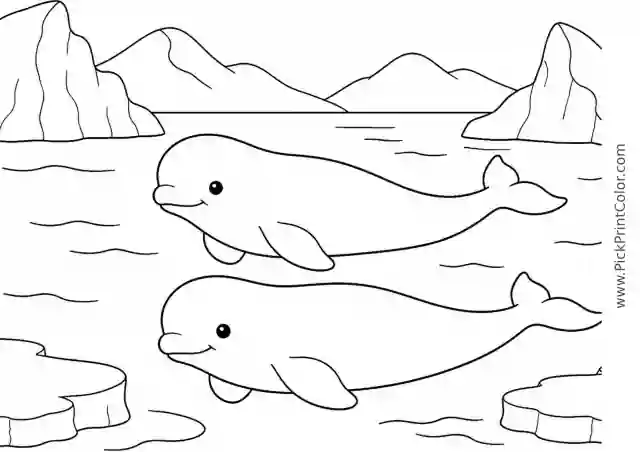 Beluga Pair in a Calm Arctic Bay printable black-and-white coloring page