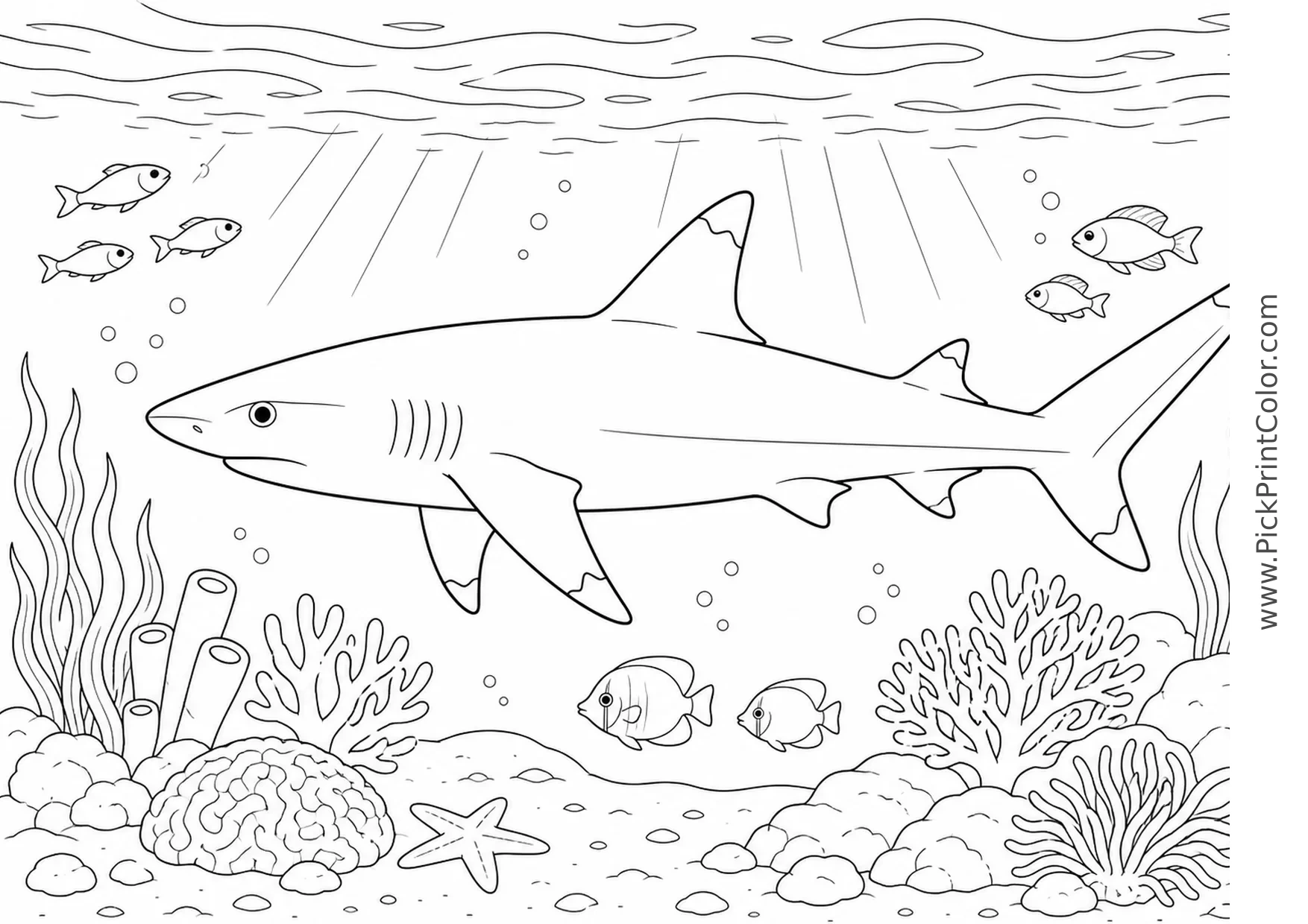 Blacktip Reef Shark in Shallow Water printable black-and-white coloring page