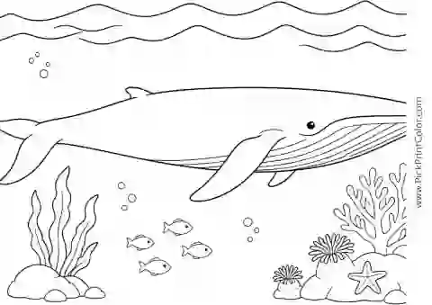 Blue Whale beneath Gentle Surface Waves printable black-and-white coloring page