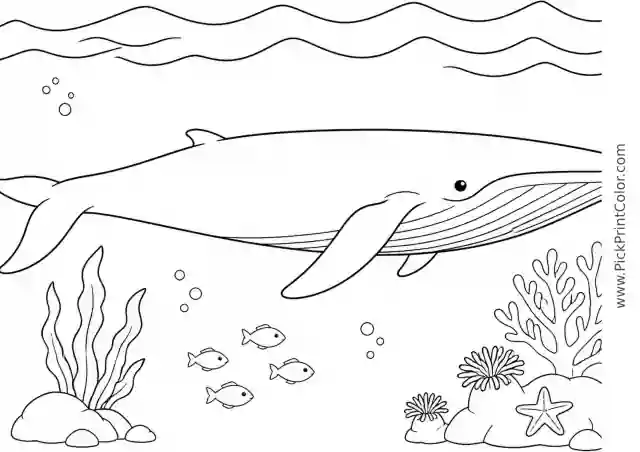 Blue Whale beneath Gentle Surface Waves printable black-and-white coloring page