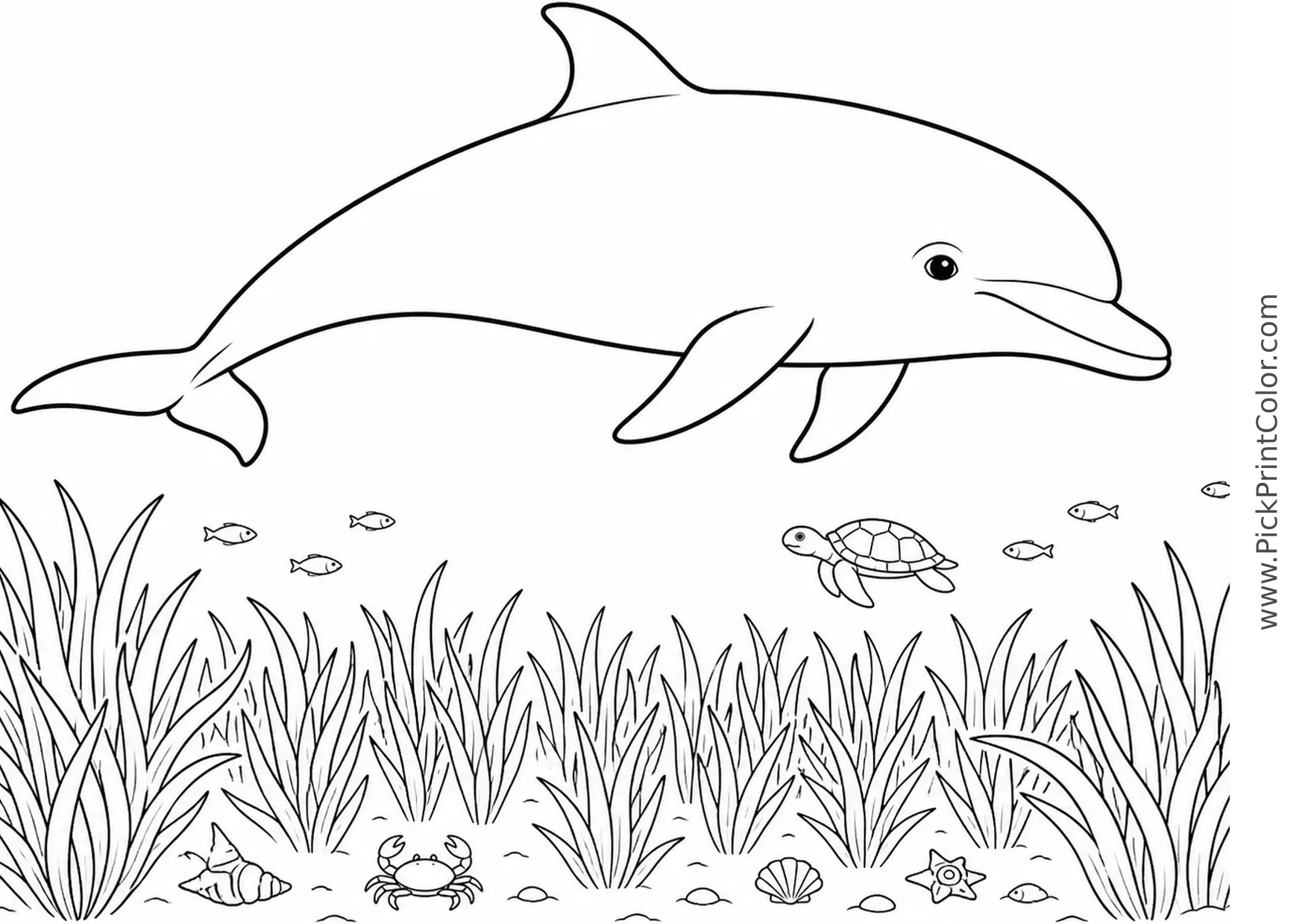 Bottlenose Dolphin over a Seagrass Meadow printable black-and-white coloring page