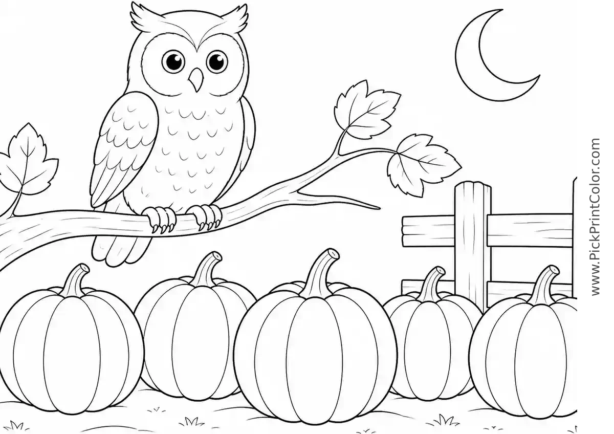 Owl Watching Over a Halloween Pumpkin Patch black-and-white printable coloring page