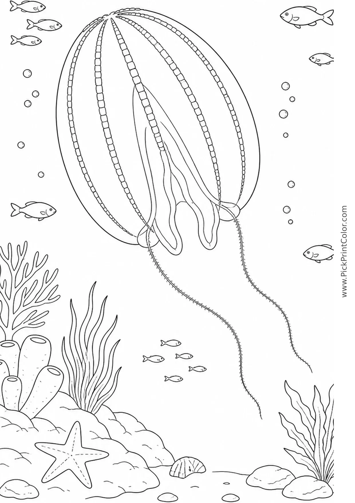 Comb Jelly in Open Water printable black-and-white coloring page