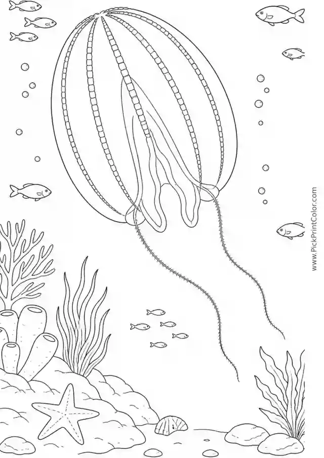 Comb Jelly in Open Water printable black-and-white coloring page