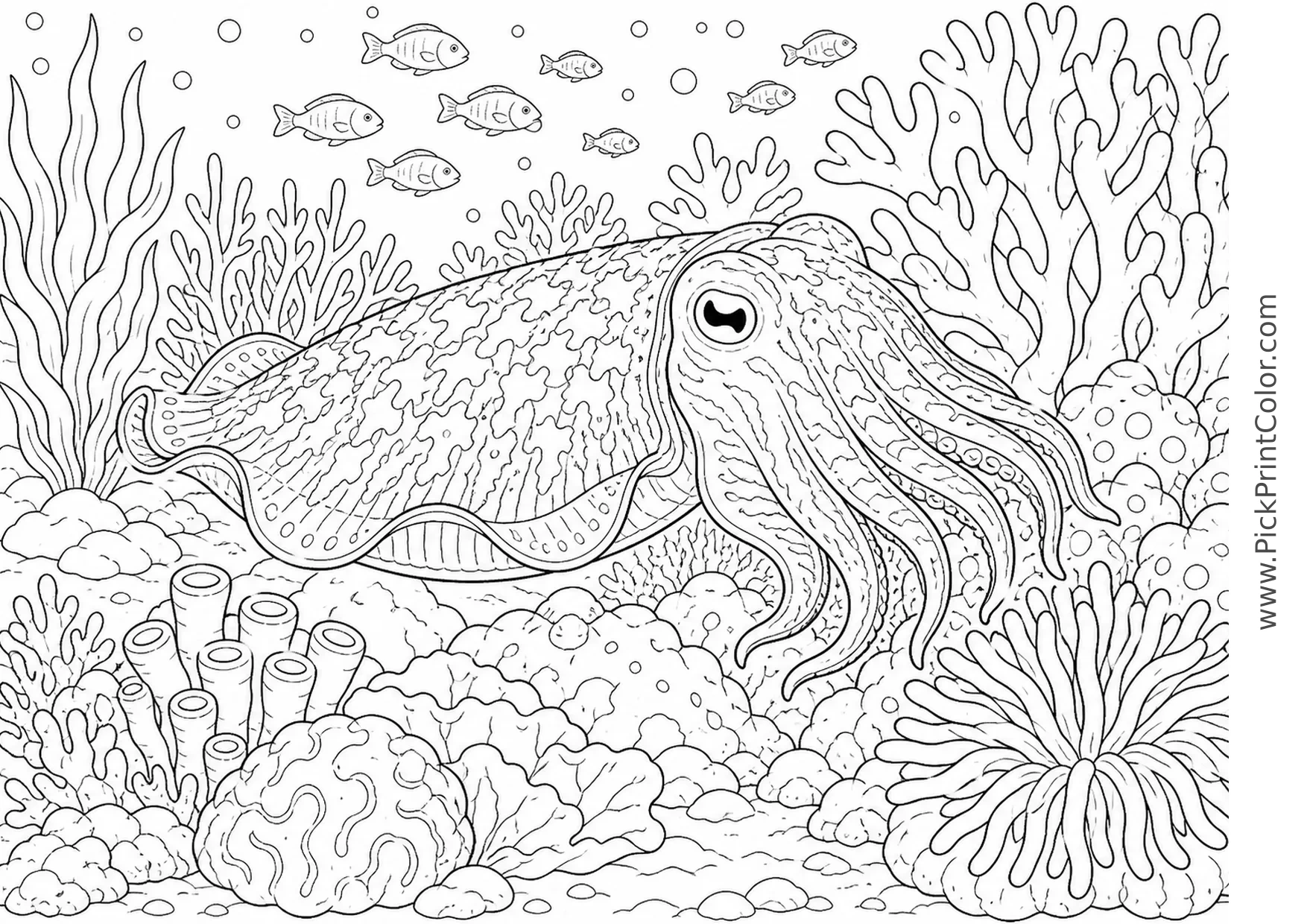Cuttlefish Camouflaging near Coral printable black-and-white coloring page