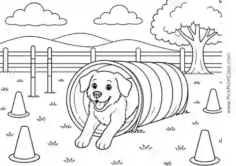 Dog Learning an Agility Tunnel printable coloring page