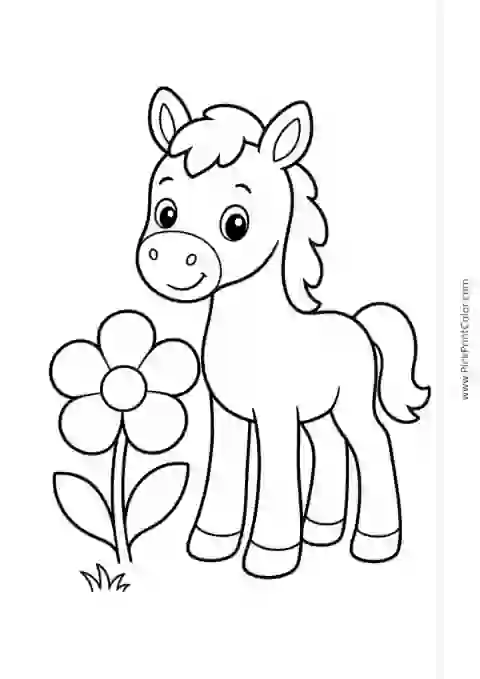 Friendly Foal with a Flower printable coloring page
