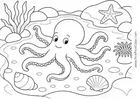 Friendly Octopus Exploring a Tide Pool printable black-and-white coloring page