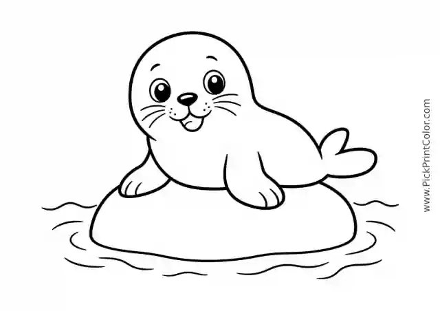 Friendly Seal Pup on a Smooth Rock printable black-and-white coloring page