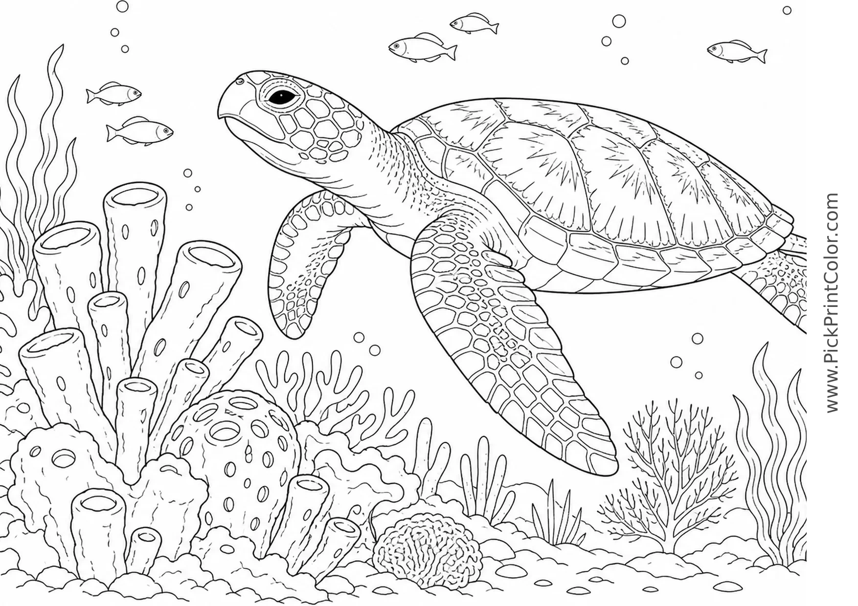 Hawksbill Turtle near a Sponge Garden printable black-and-white coloring page