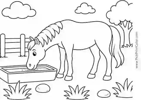 Horse Drinking from a Water Trough printable coloring page
