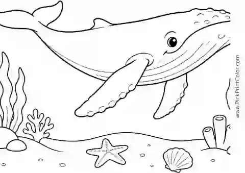 Humpback Whale Calf above a Sandy Seafloor printable black-and-white coloring page