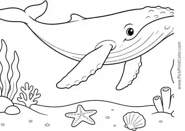 Humpback Whale Calf above a Sandy Seafloor printable black-and-white coloring page