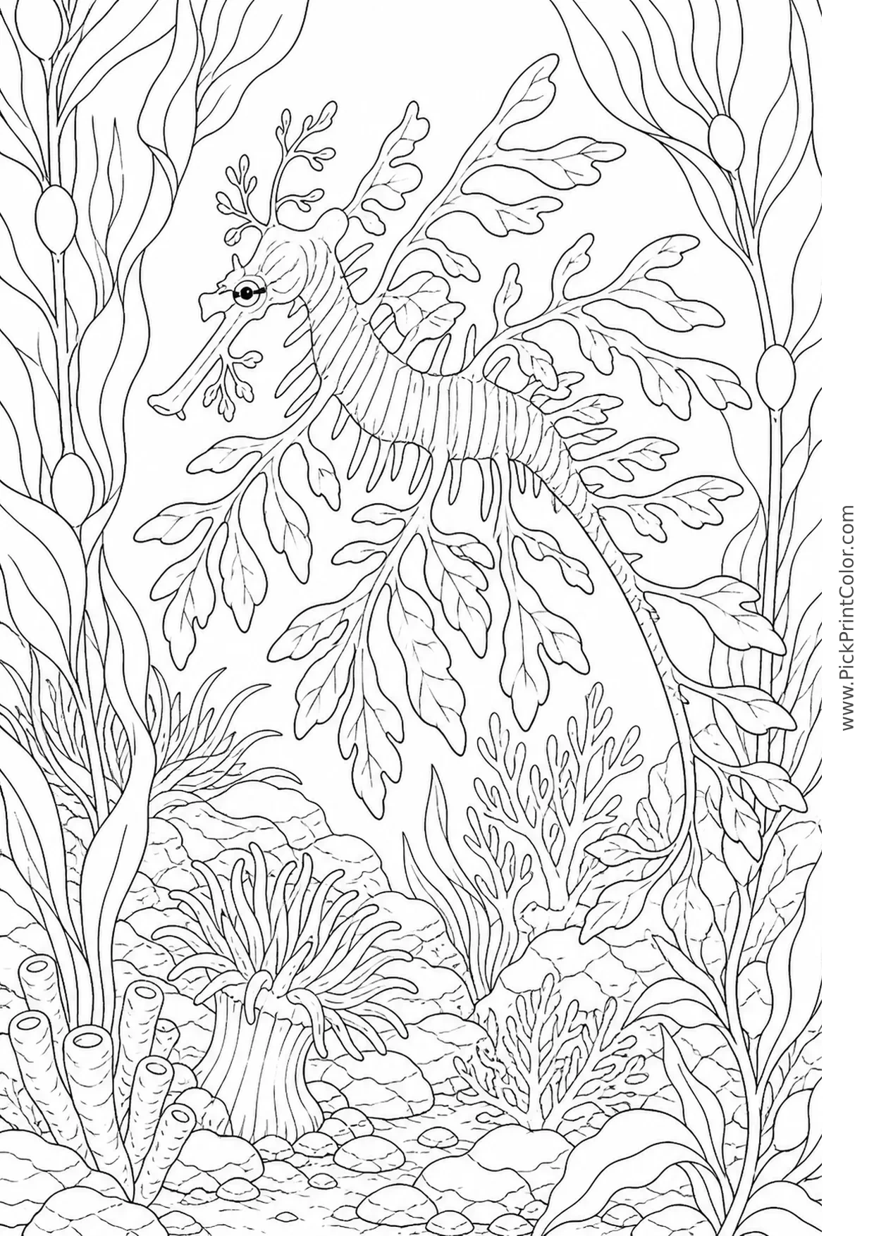 Leafy Sea Dragon in a Kelp Forest printable black-and-white coloring page