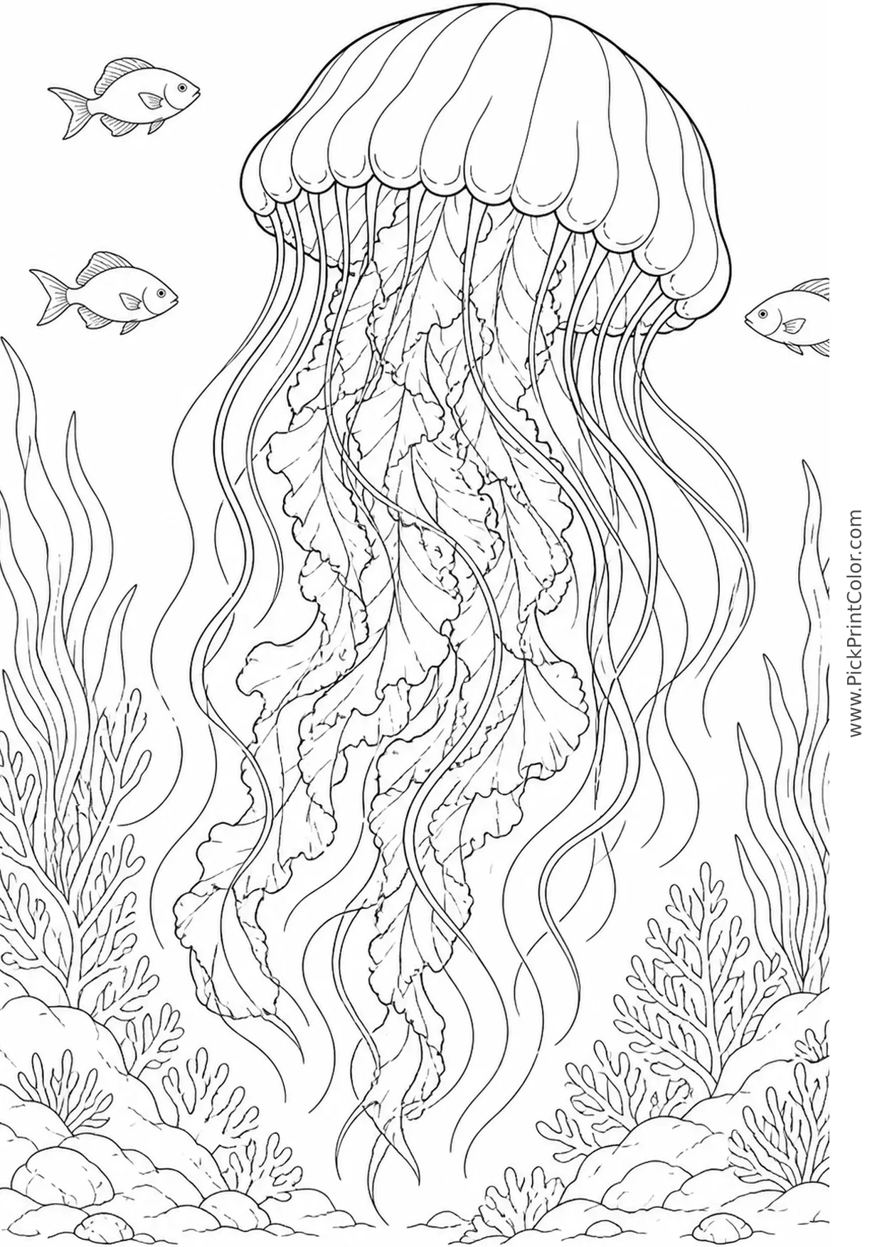 Lion’s Mane Jellyfish in Cold Water printable black-and-white coloring page