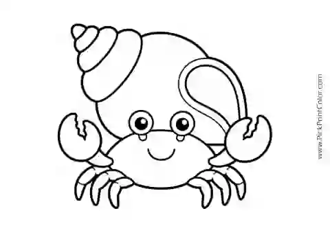 Little Crab with a Large Seashell printable black-and-white coloring page