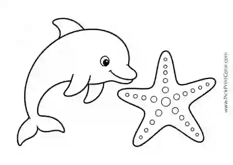 Little Dolphin beside a Large Starfish printable black-and-white coloring page