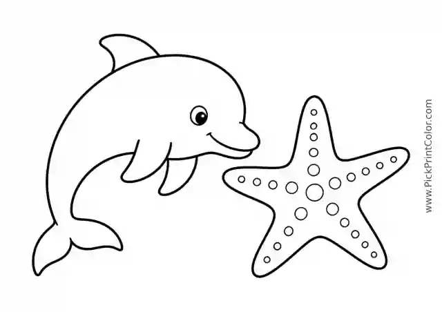 Little Dolphin beside a Large Starfish printable black-and-white coloring page