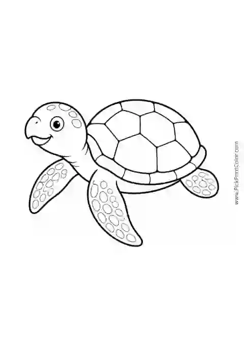 Little Sea Turtle with a Big Shell printable black-and-white coloring page