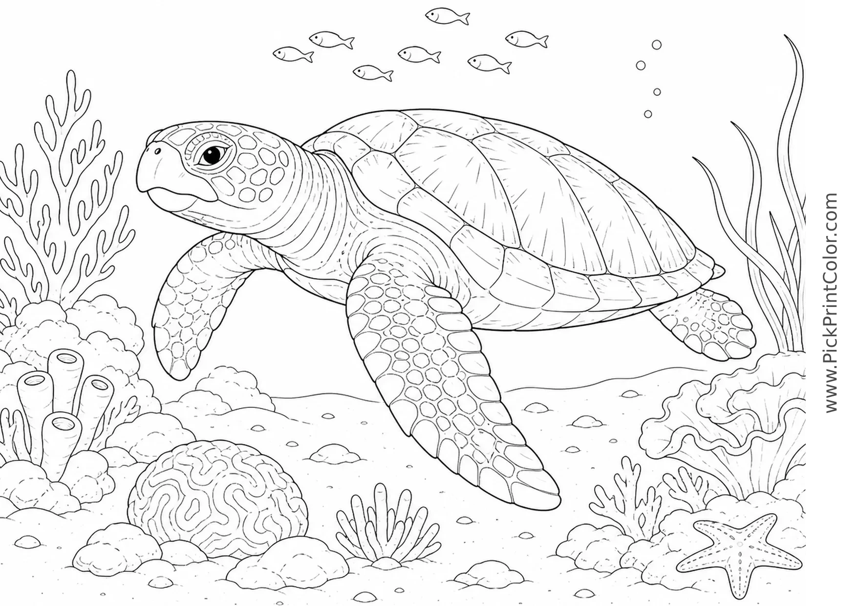Loggerhead Turtle Crossing a Sandy Reef printable black-and-white coloring page