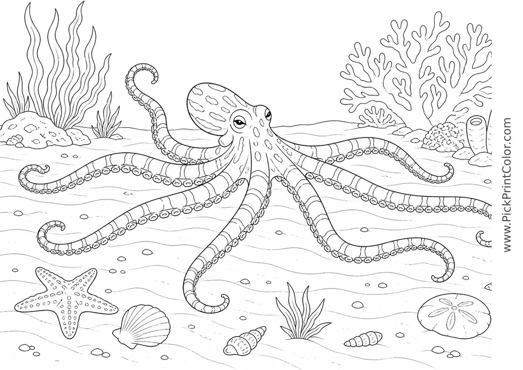 Mimic Octopus Crossing a Sandy Seafloor printable black-and-white coloring page