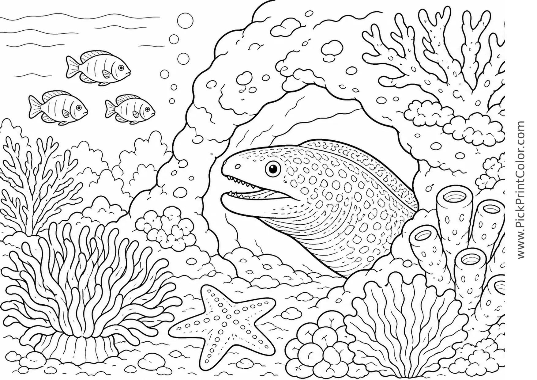 Moray Eel Peeking from a Reef Cave printable black-and-white coloring page
