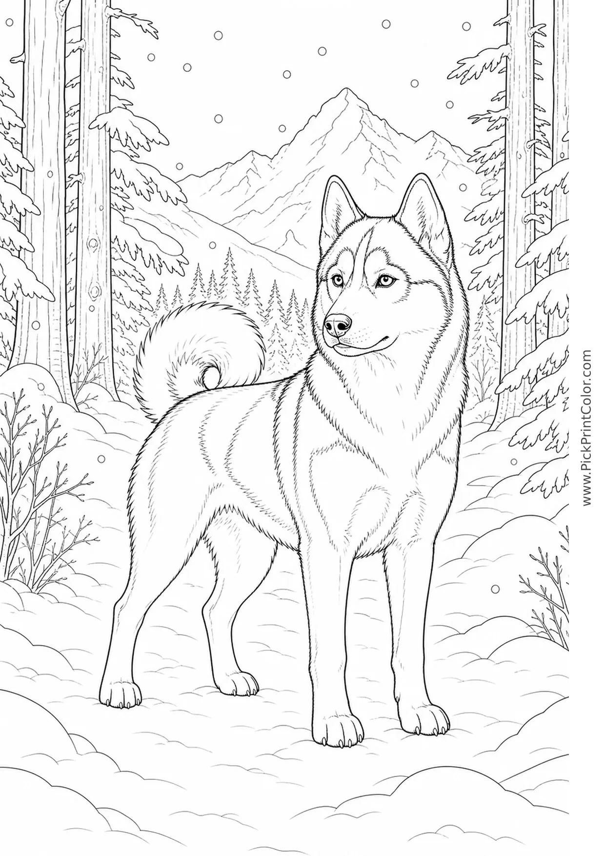 Realistic Husky on a Snowy Forest Path printable coloring page