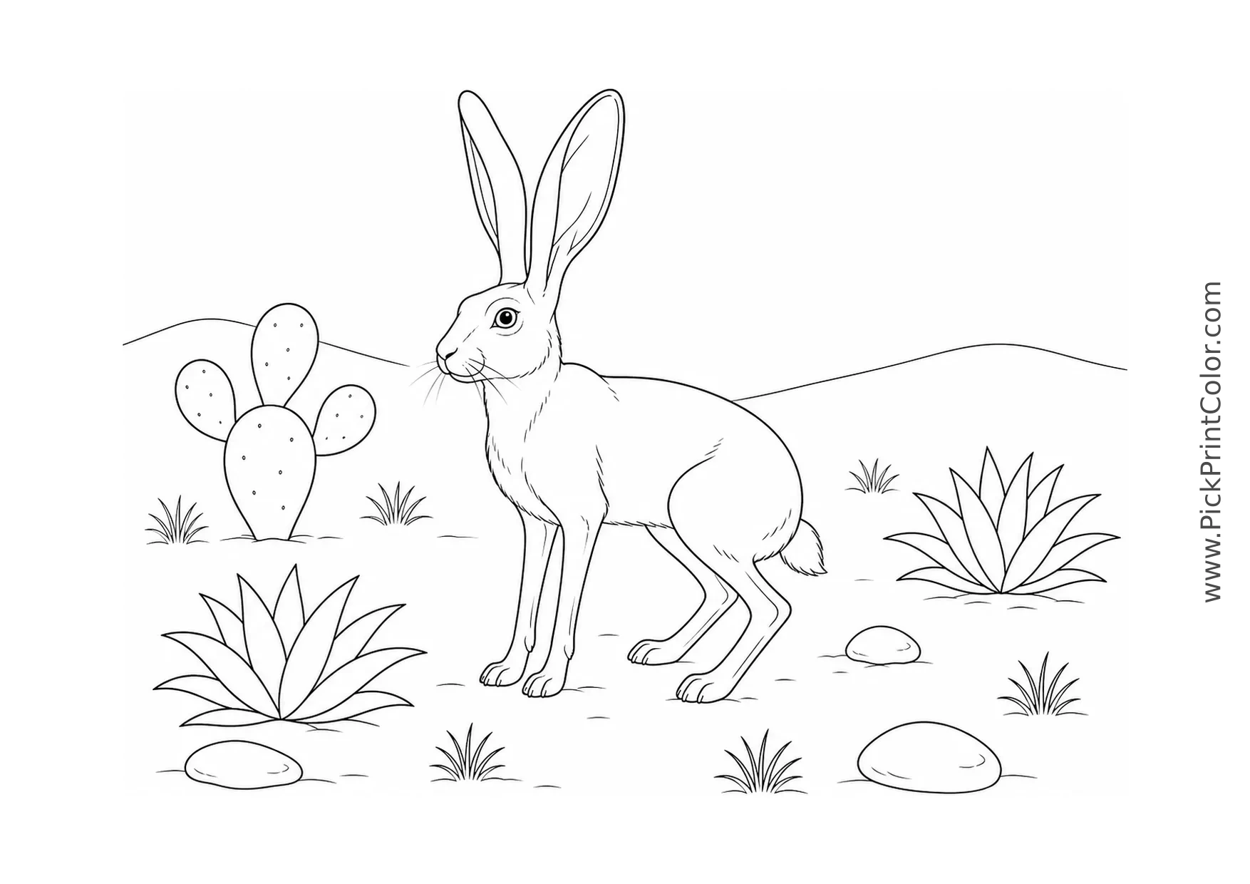 Realistic Jackrabbit in Desert Scrub printable coloring page