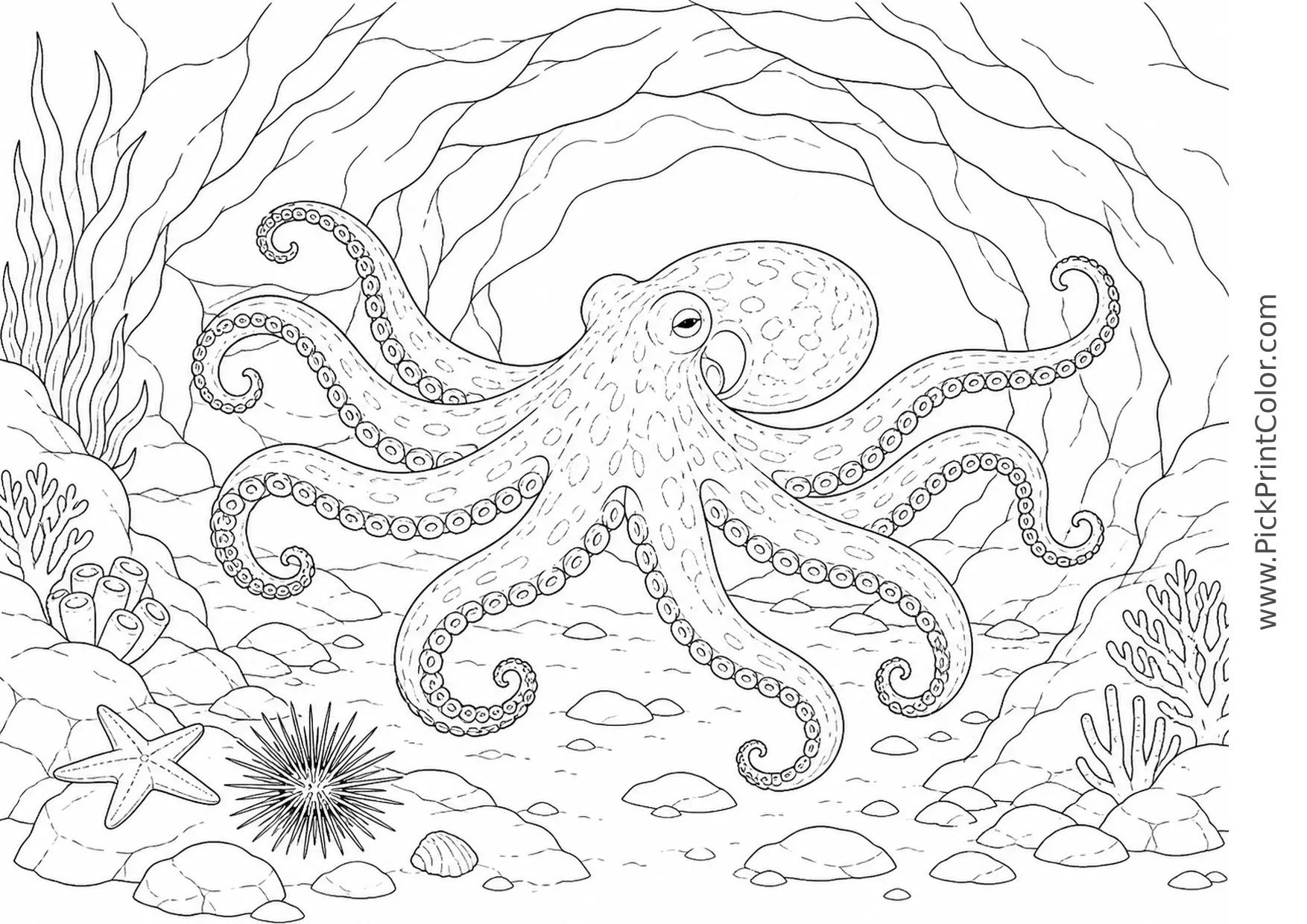 Realistic Octopus inside an Underwater Cave printable black-and-white coloring page