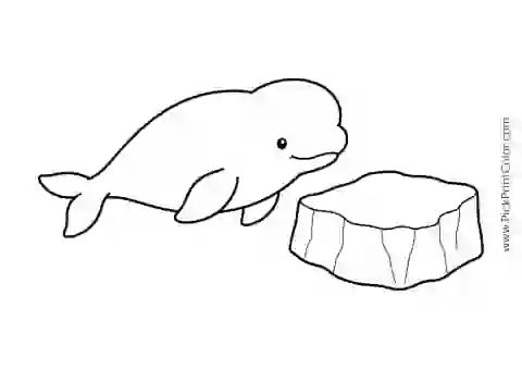 Round Beluga Whale beside an Ice Chunk printable black-and-white coloring page