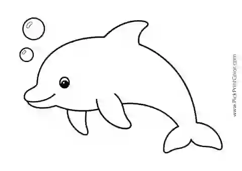 Simple Dolphin with Two Bubbles printable black-and-white coloring page