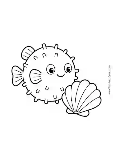 Simple Pufferfish beside a Shell printable black-and-white coloring page