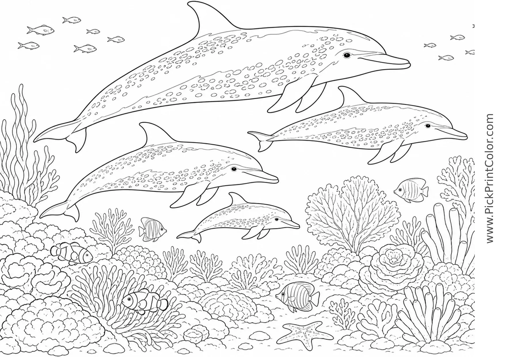 Spinner Dolphins above a Deep-Ocean Reef printable black-and-white coloring page